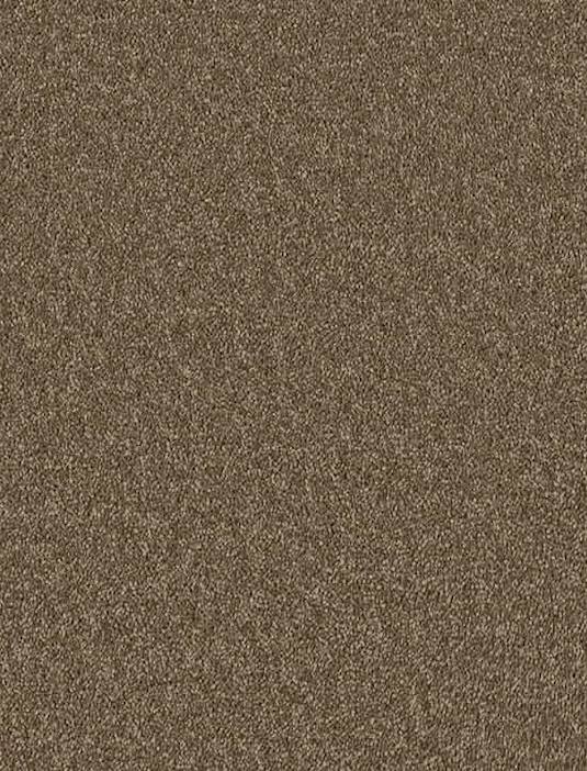 Enchantment Elite Soft Recycled Twist Carpet - 2071 Meadow Brown