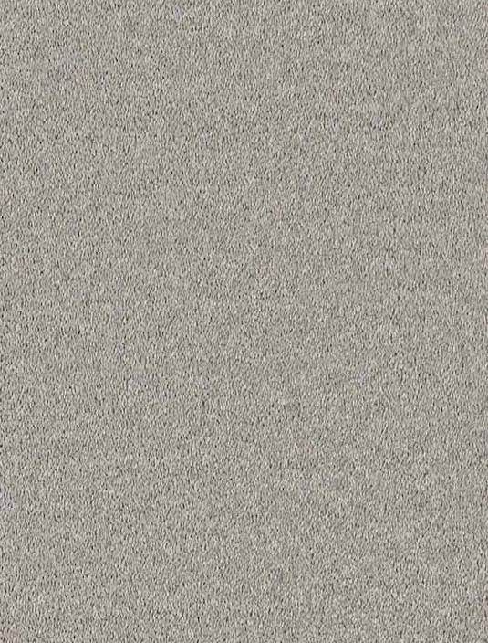 Enchantment Elite Soft Recycled Twist Carpet - 2061 Swallow Tail