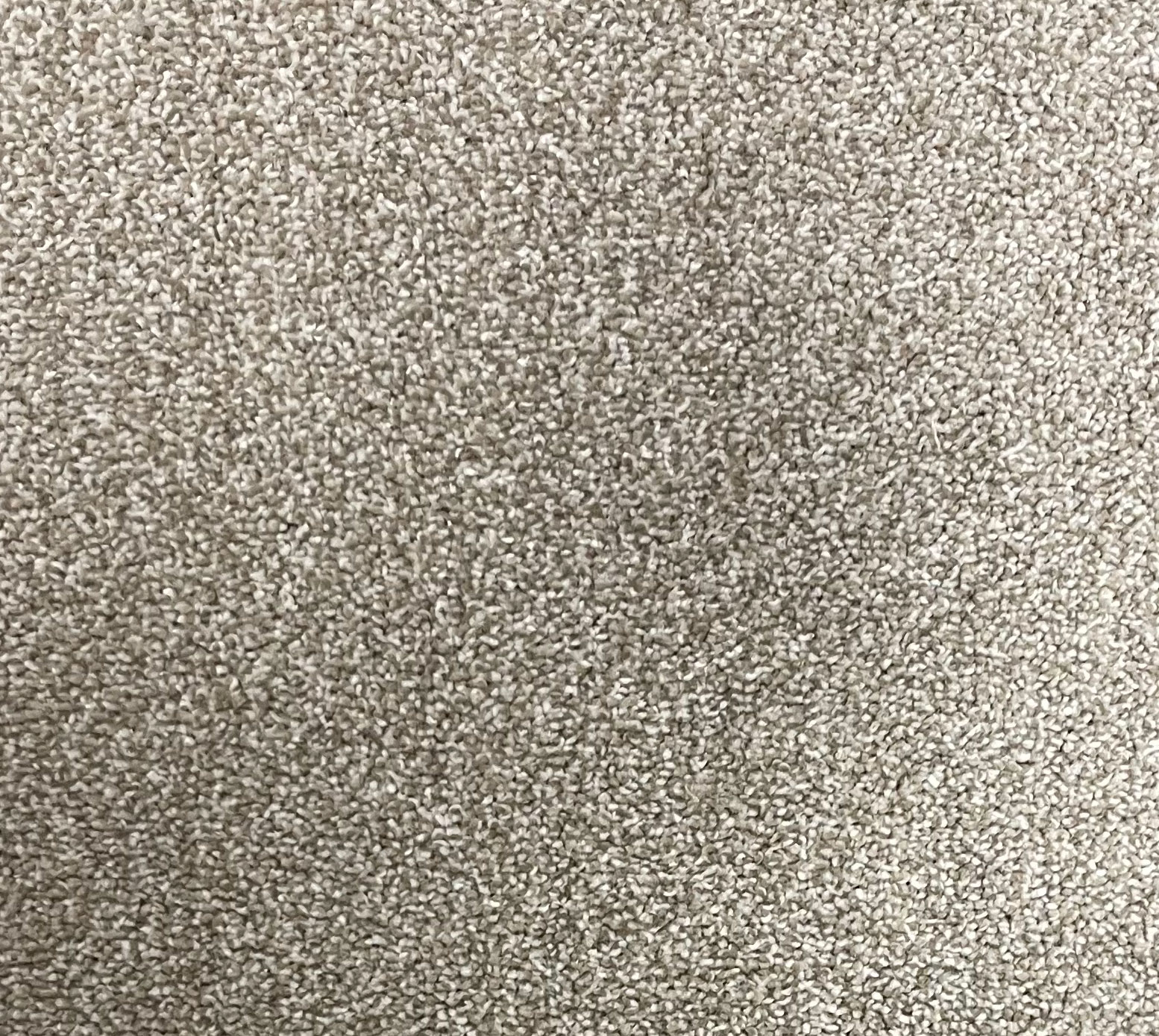 Euphora Twist Carpet - 7609 Linen