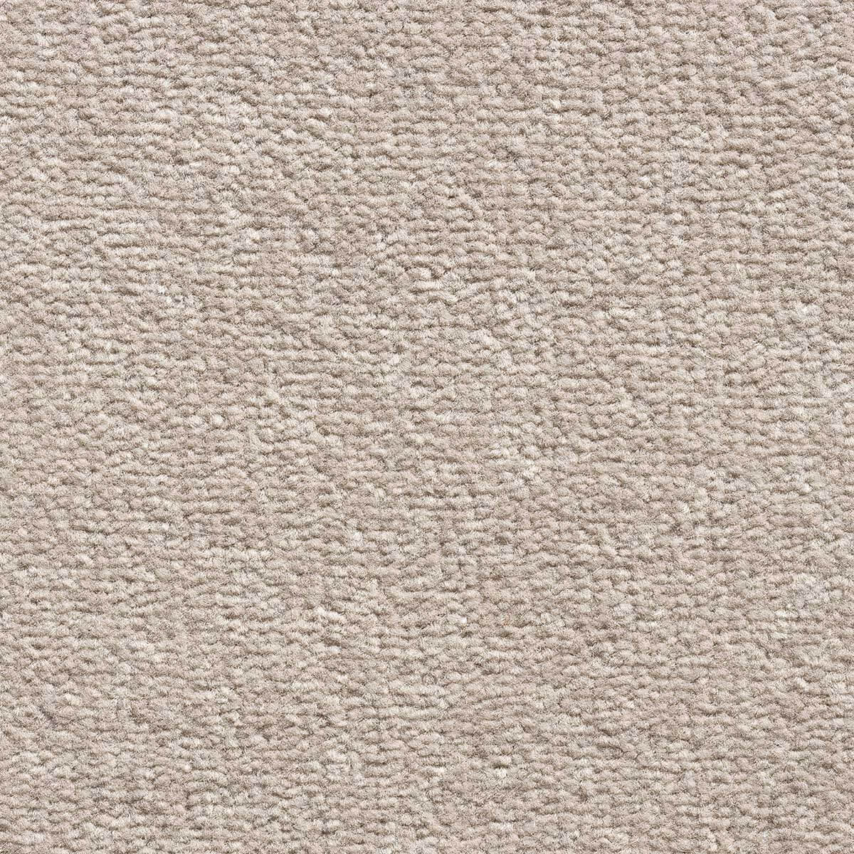 Haute Couture Twist Carpet - 5572 Oyster Cove