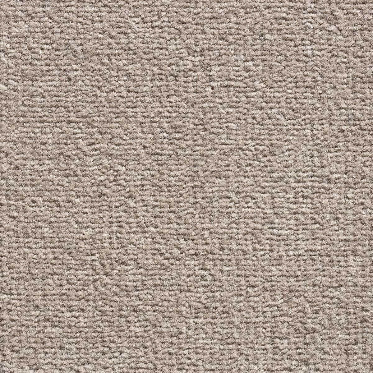 Haute Couture Twist Carpet - 5593 Balboa Mink