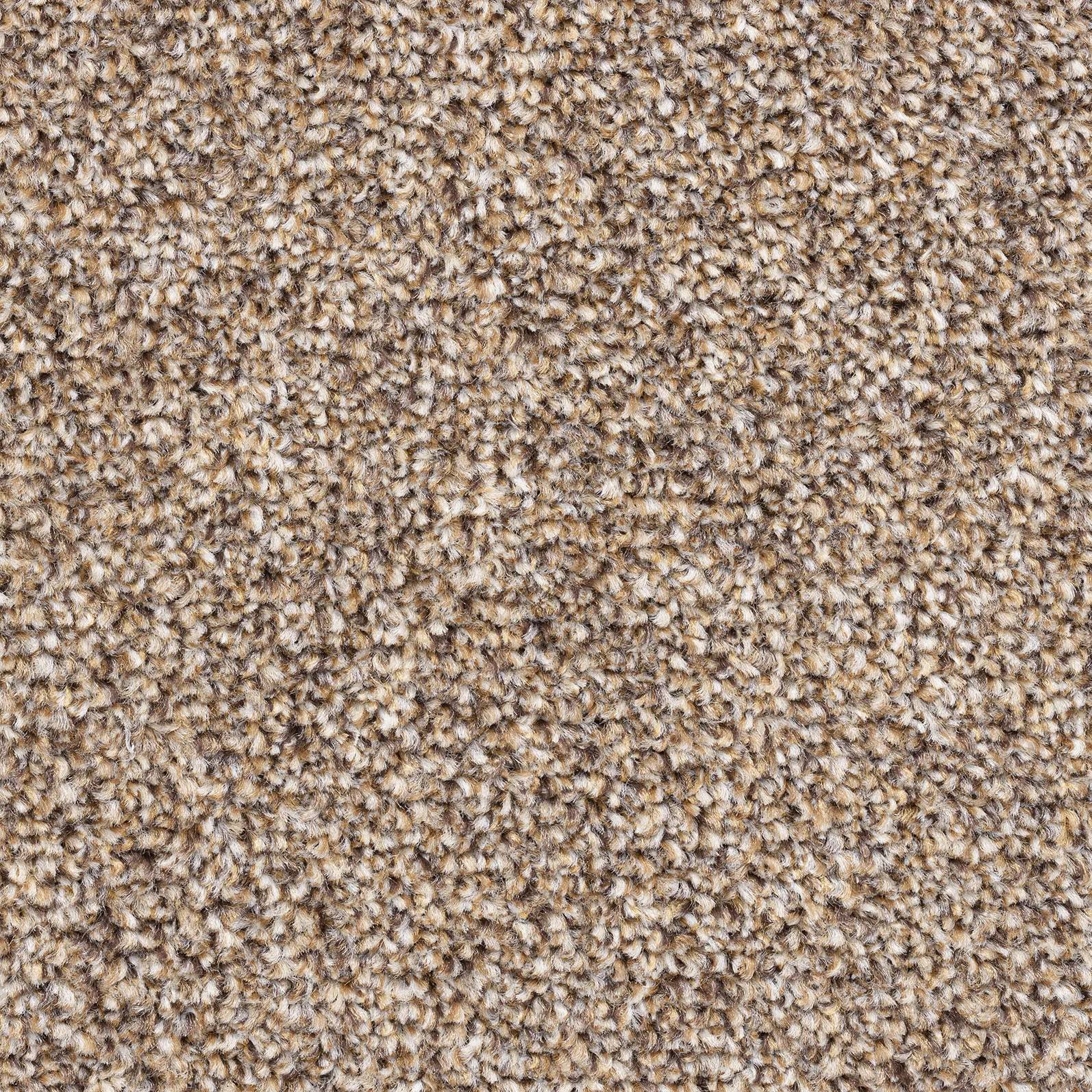 Maine Saxony Carpet - 92 Rustic Taupe