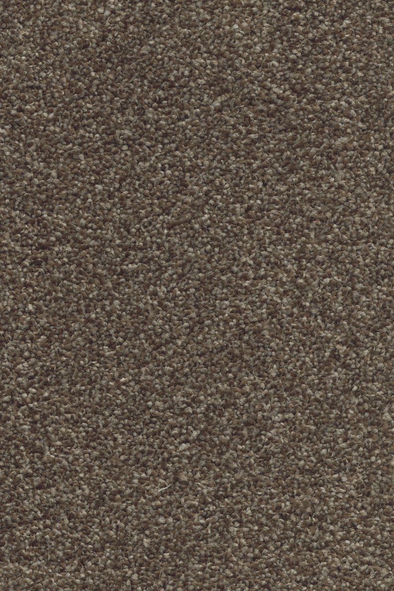 Monterey Saxony Carpet -  Glazed Coffee 39