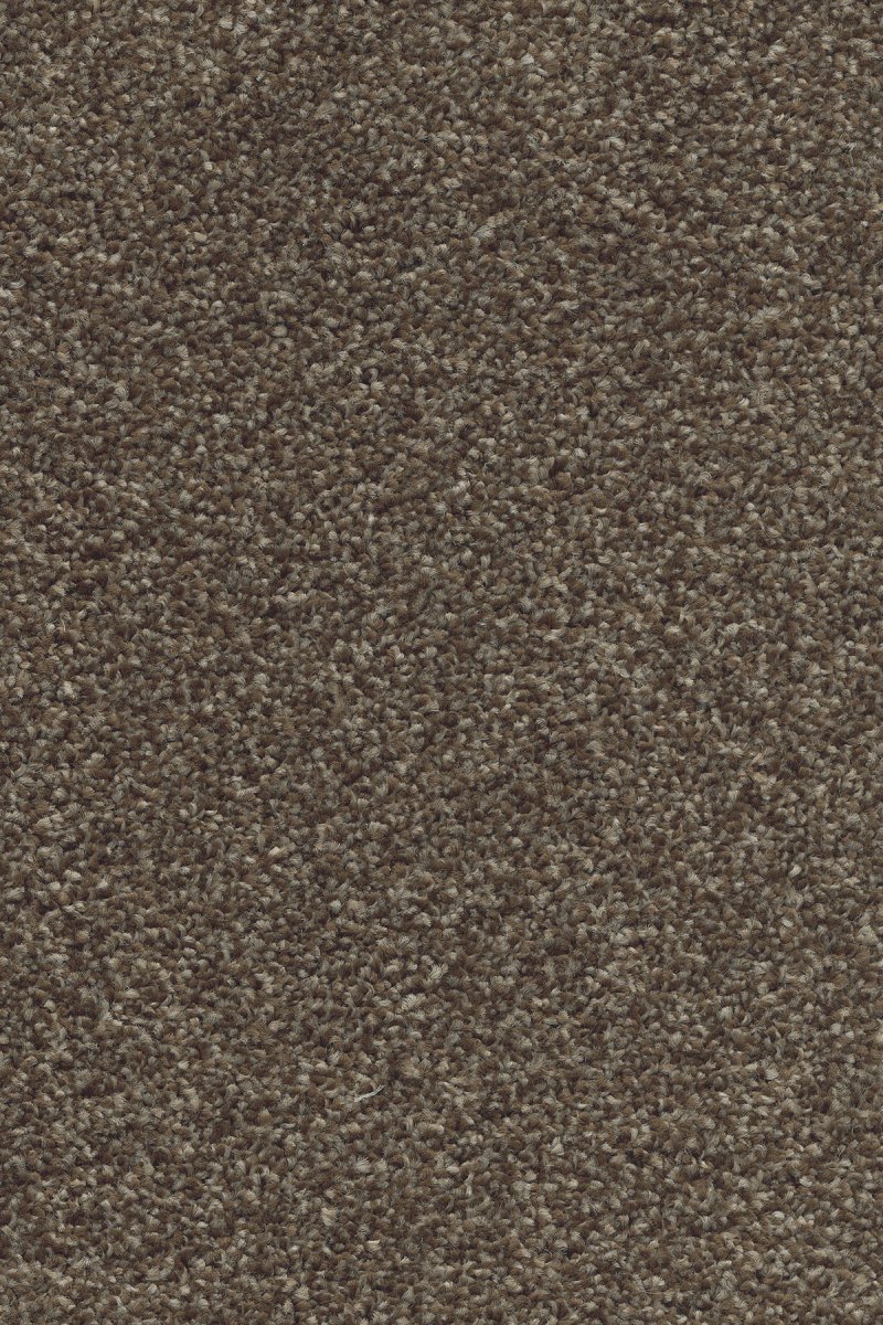 Monterey Saxony Carpet - 39 Glazed Coffee