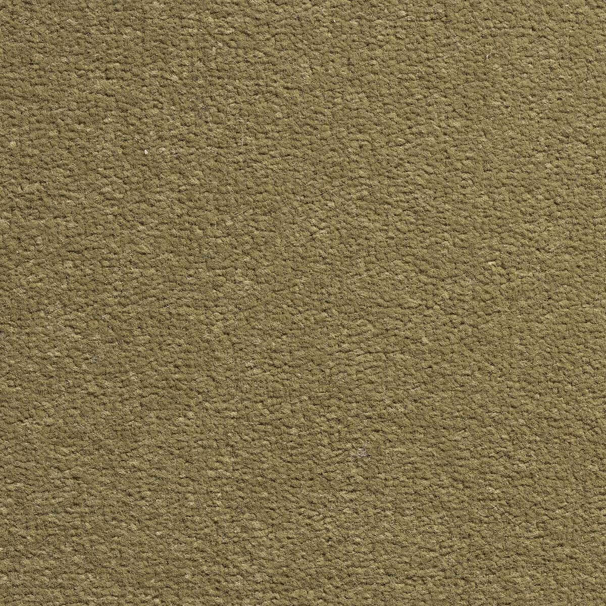 Pret a Porter Twist Carpet - 546 Lichen