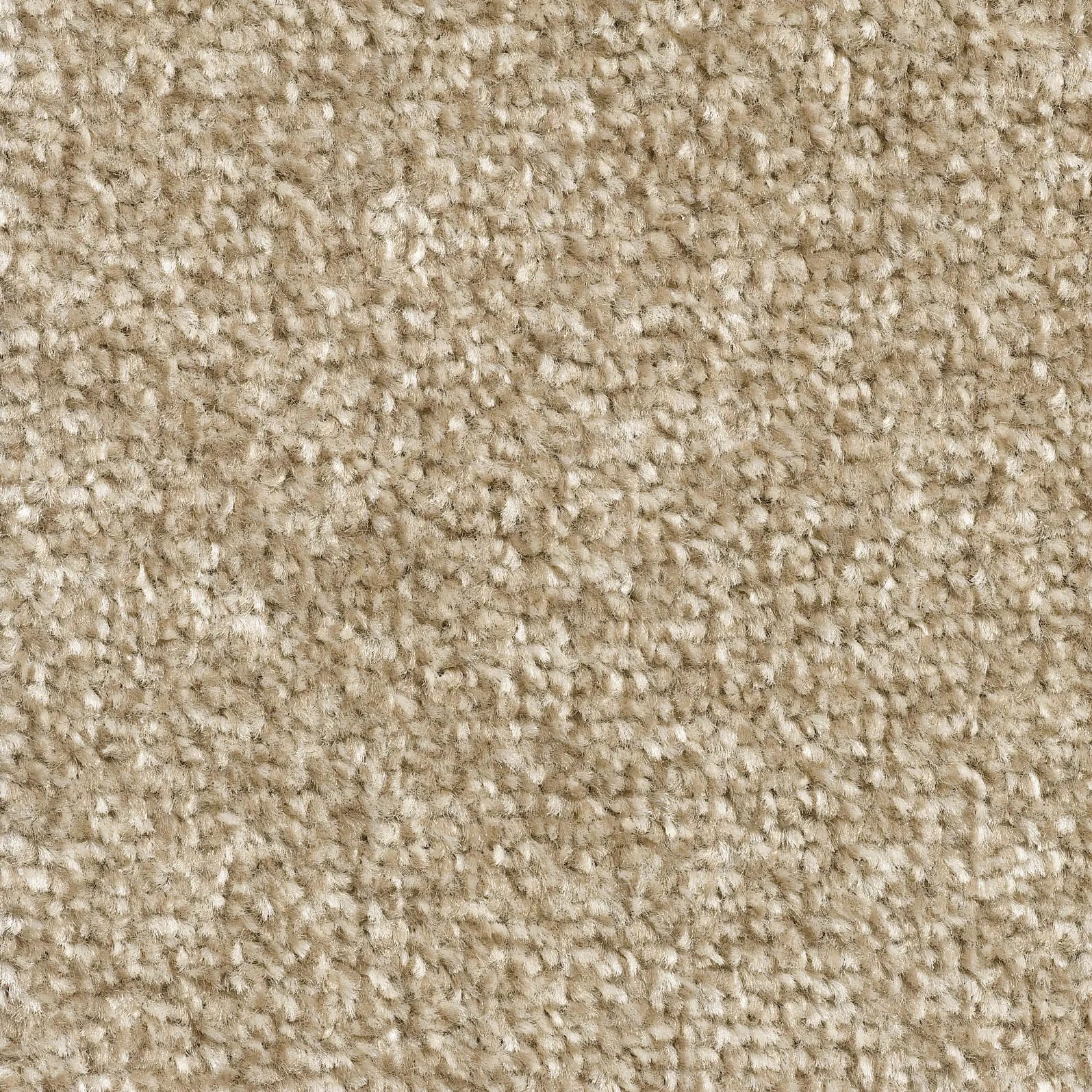 Pronto Saxony Carpet - 70 Cashmere