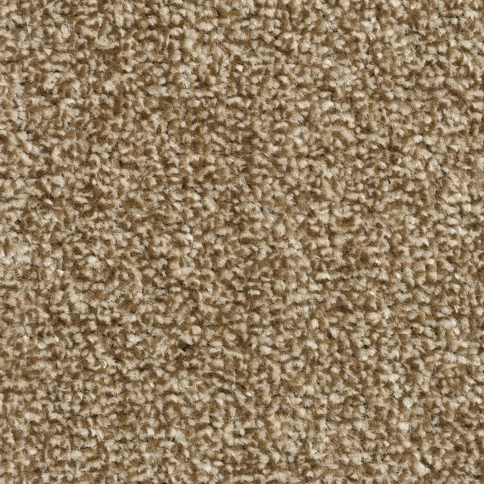 Pronto Saxony Carpet - 72 Truffle