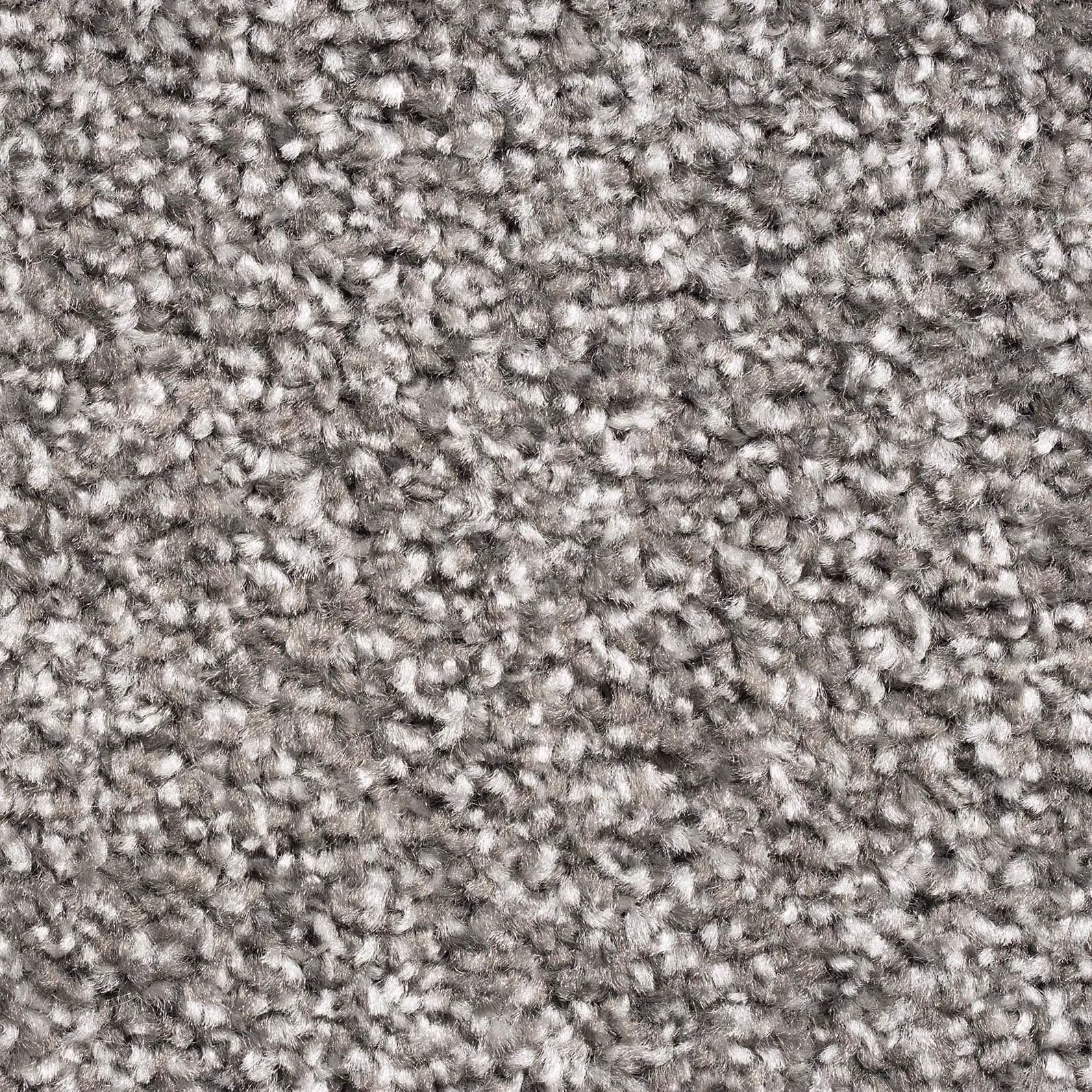 Pronto Saxony Carpet - 75 Grey