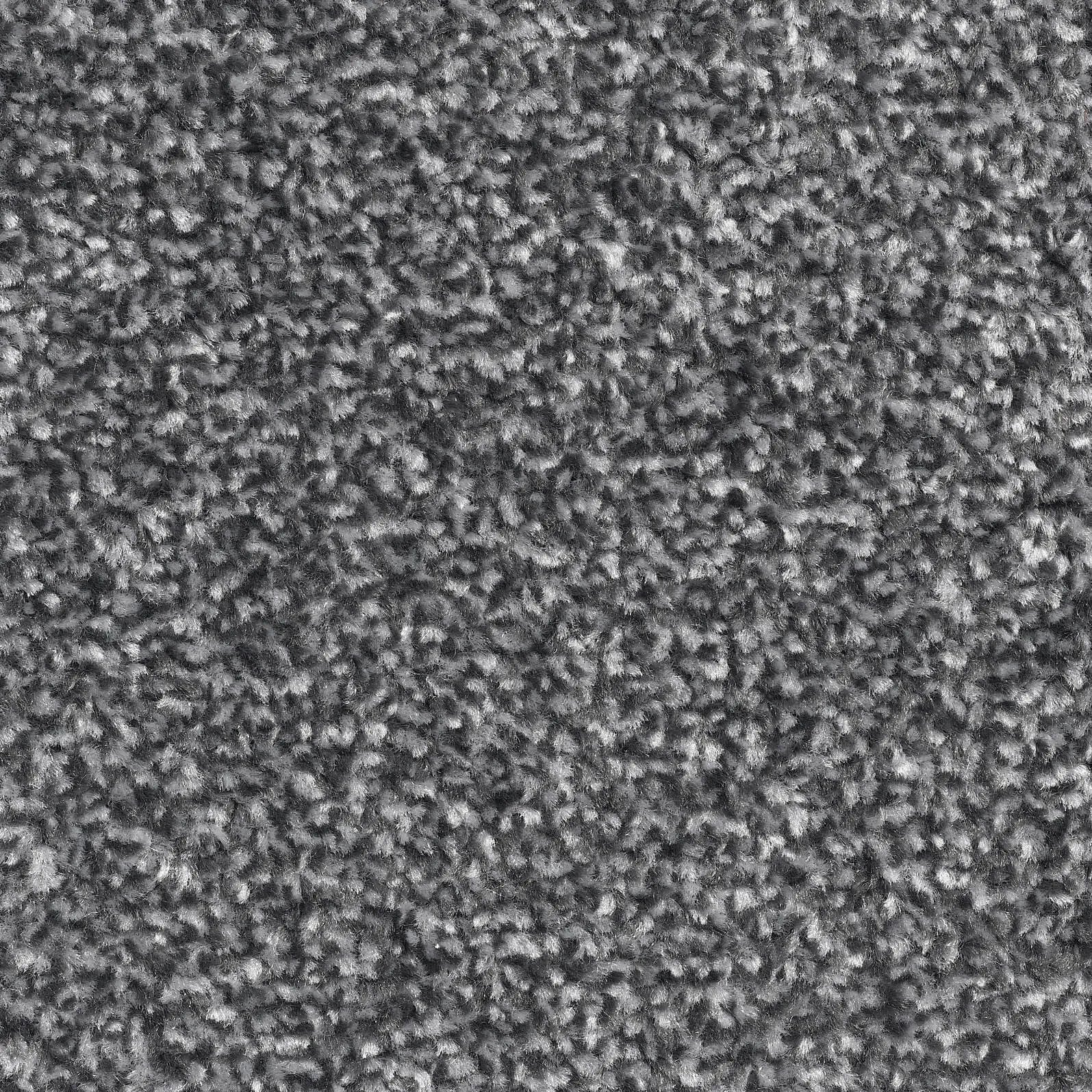 Pronto Saxony Carpet - 77 Granite