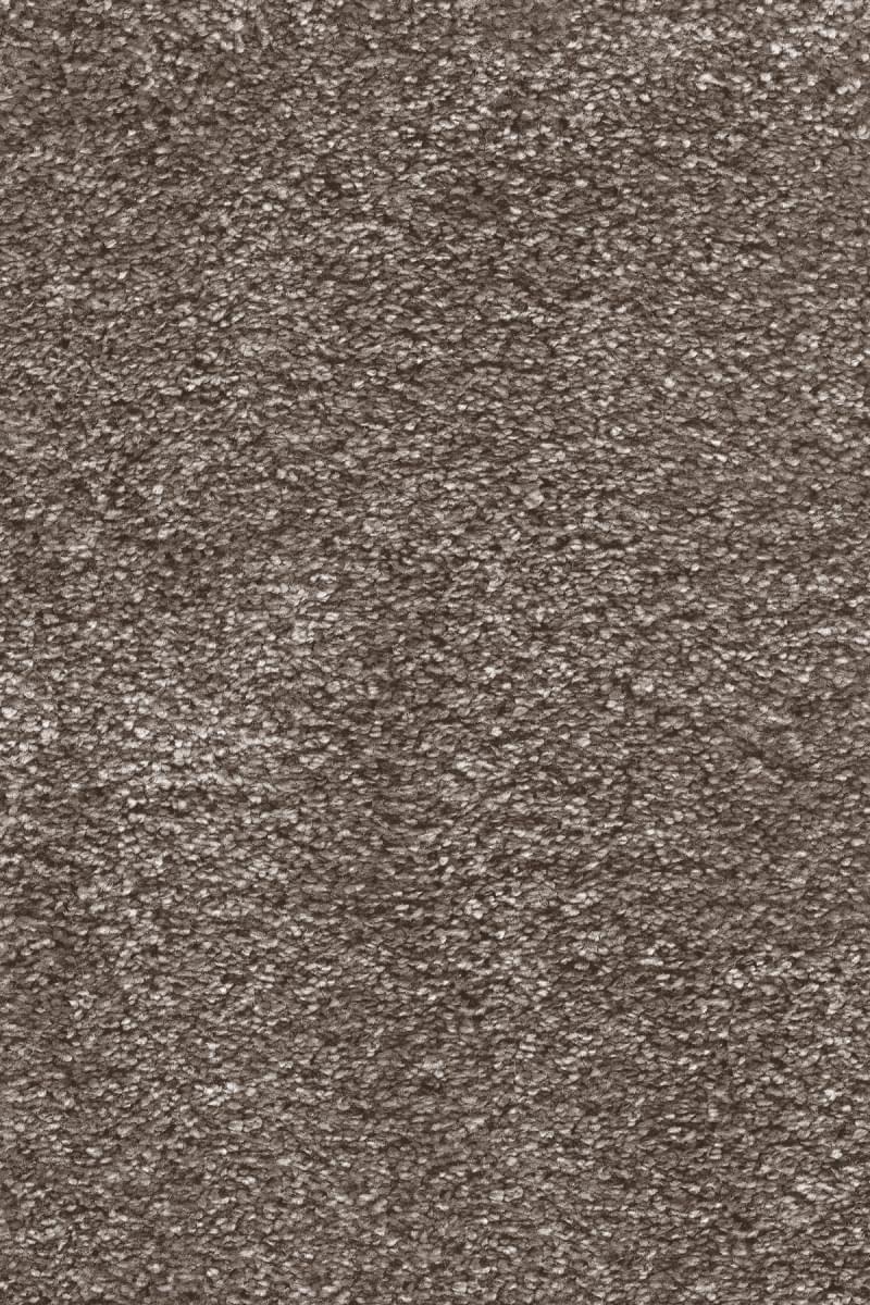 Pulsar Saxony Carpet - 41 Cookie