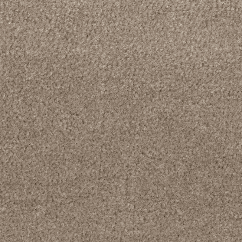 Sands Twist Carpet - Toffee