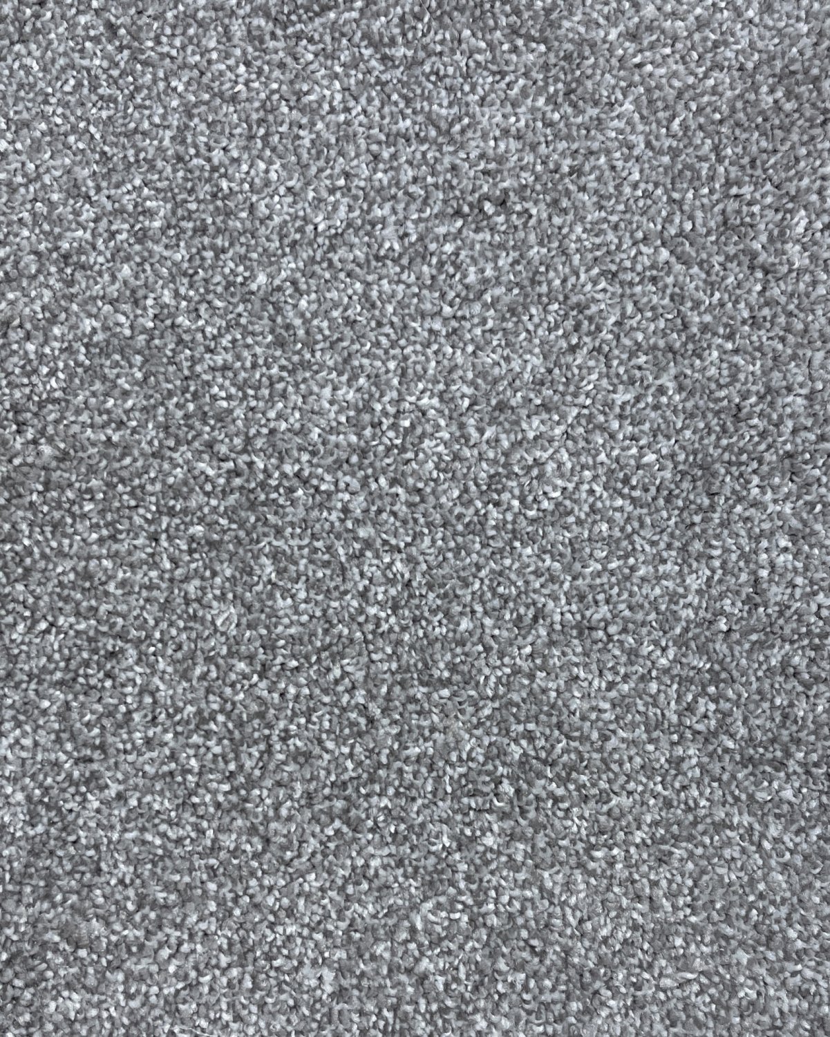 Sorrento Saxony Carpet - Silver Shadow