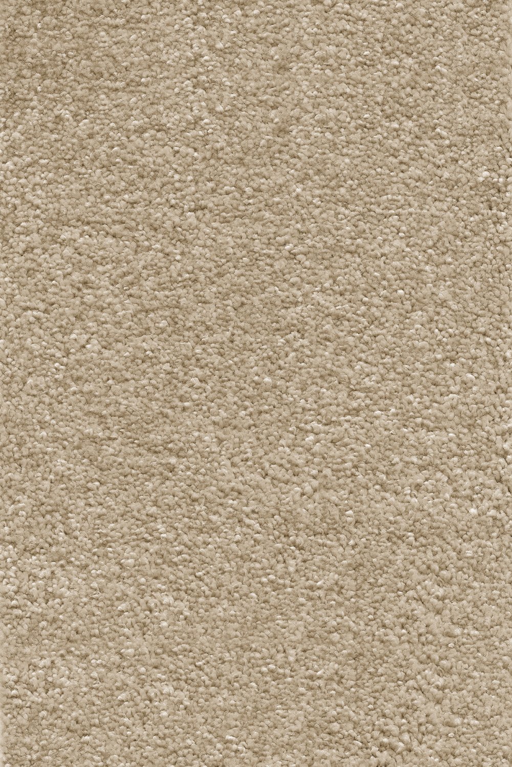 Stockholm Plains Saxony Carpet - Blanche White 30