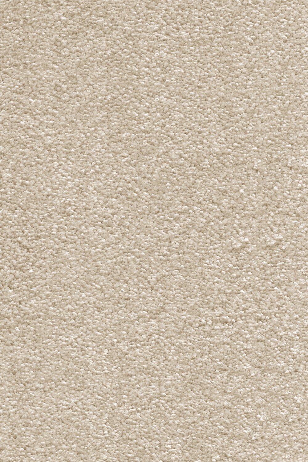 Stockholm Plains Saxony Carpet - Latte 36