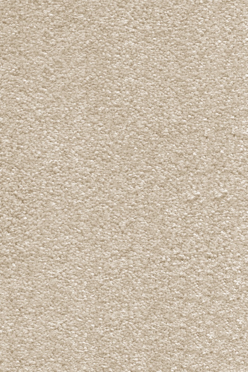 Stockholm Plains Saxony Carpet - Latte 36 Stockholm Plains Saxony Carpet - Latte 36
