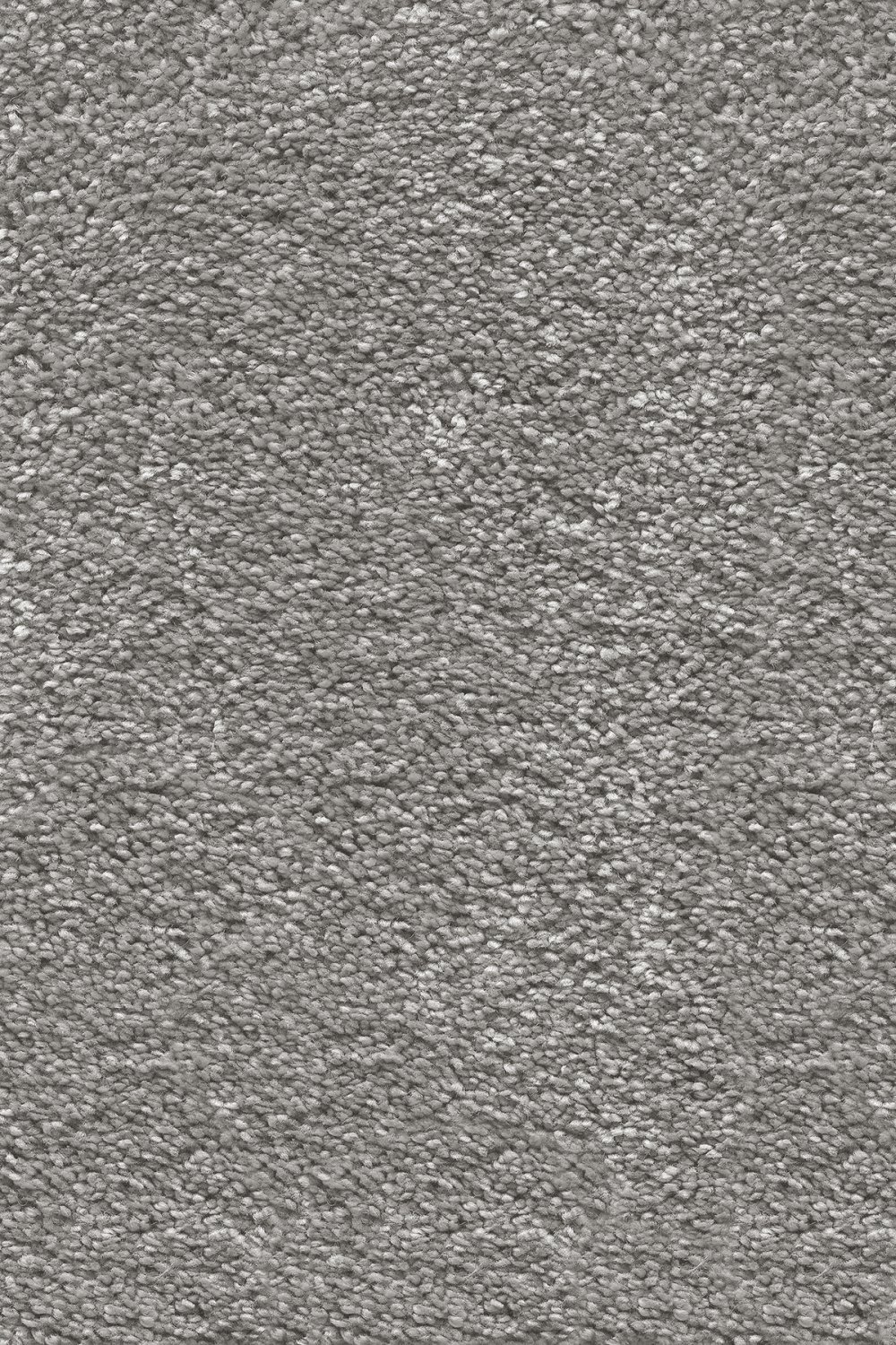 Stockholm Plains Saxony Carpet - Ash Grey 92