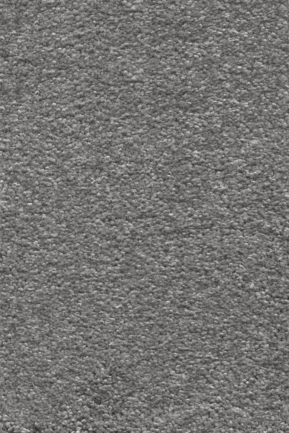 Stockholm Plains Saxony Carpet - Roman Silver 95 Stockholm Plains Saxony Carpet - Roman Silver 95