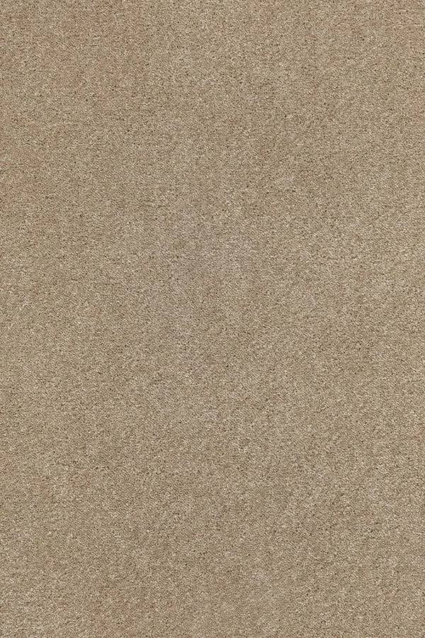 Sublime Soft Twist Carpet - 120 Tropical Sand