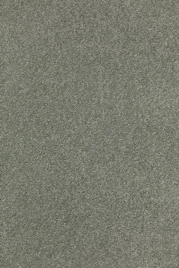 Sublime Soft Twist Carpet - 450 Sage Tint