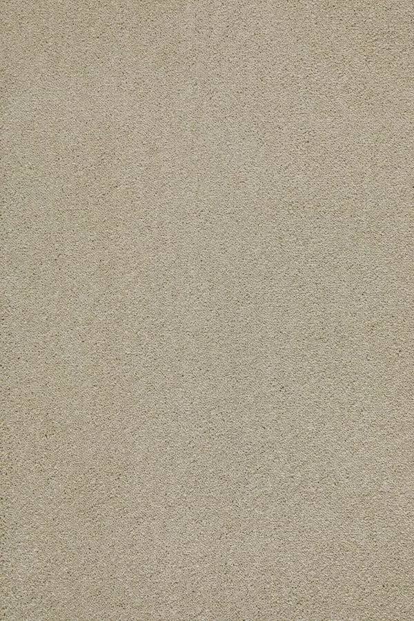 Sublime Soft Twist Carpet - 680 Mocha Cream
