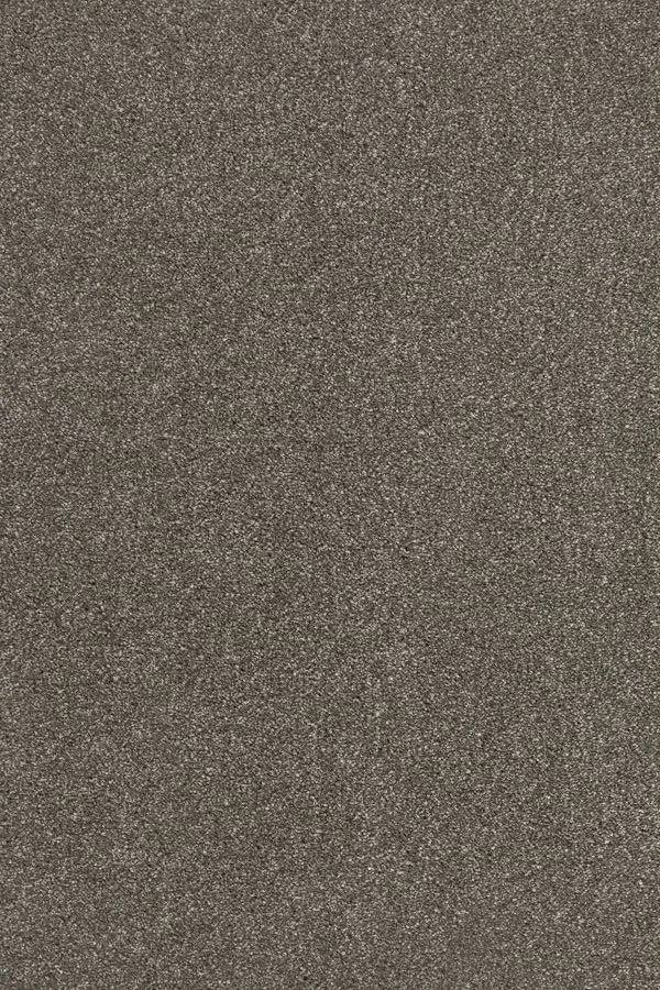 Sublime Soft Twist Carpet - 850 Mudslide