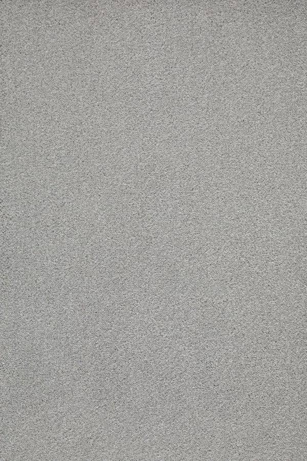 Sublime Soft Twist Carpet - 920 Silverado