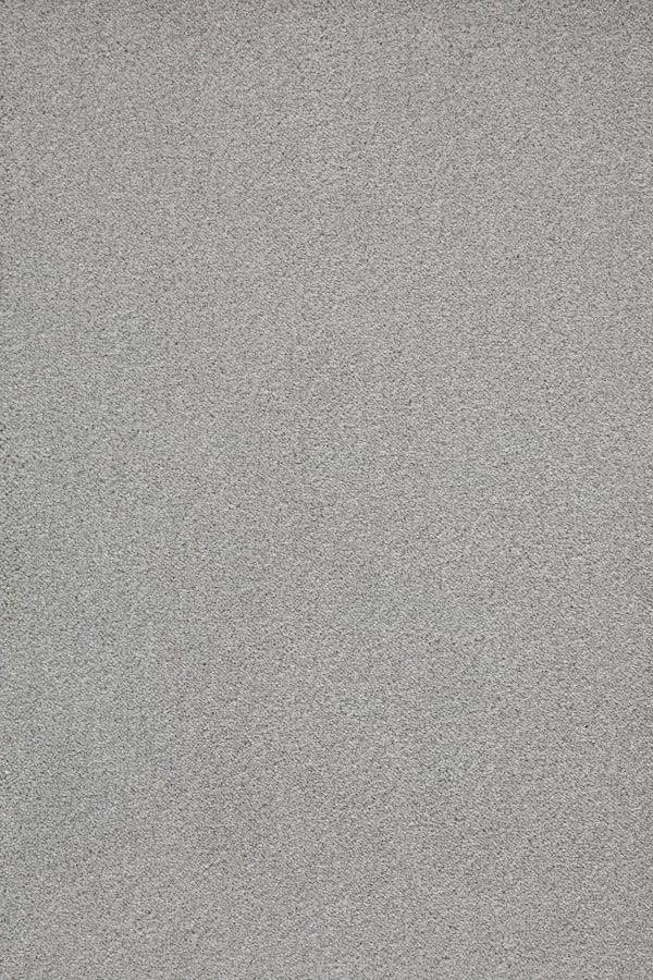 Sublime Soft Twist Carpet - 920 Silverado Sublime Soft Twist Carpet - 920 Silverado