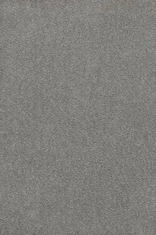 Sublime Soft Twist Carpet - 930 Shark Skin