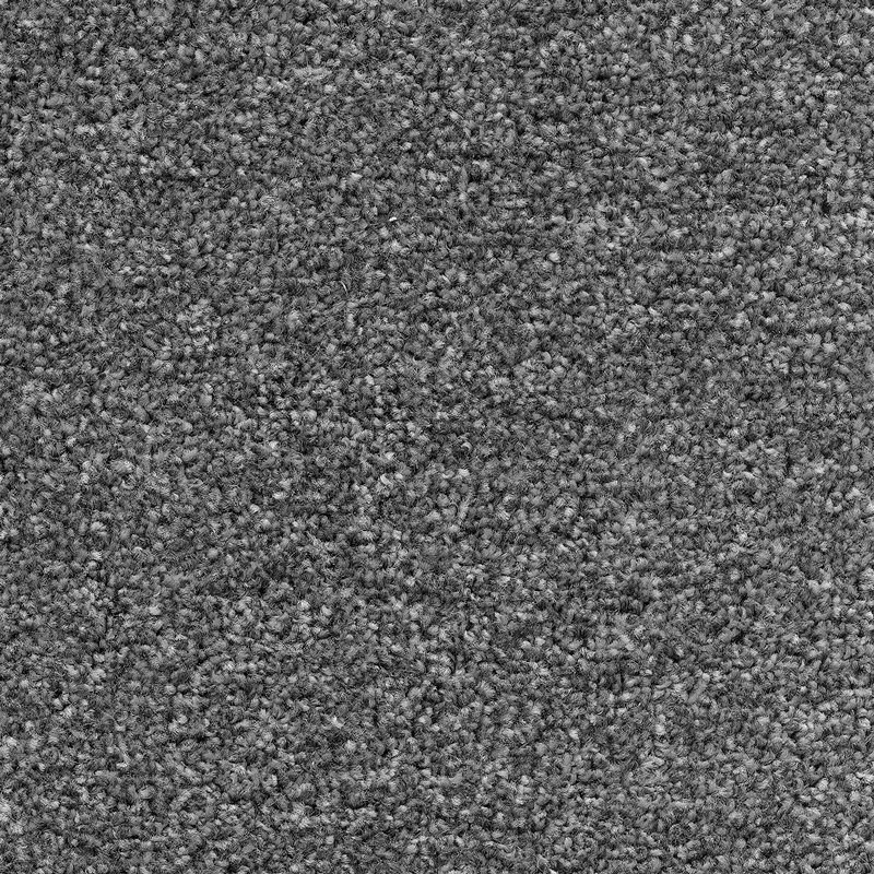 Trinity Sands Twist Carpet - Fog