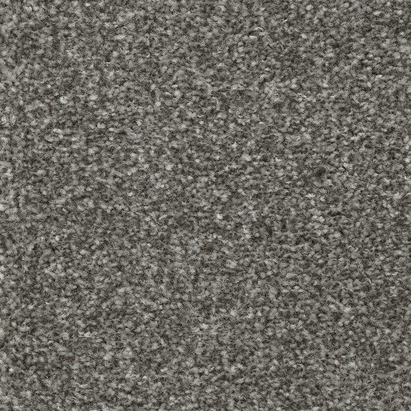 Trinity Sands Twist Carpet - Steel