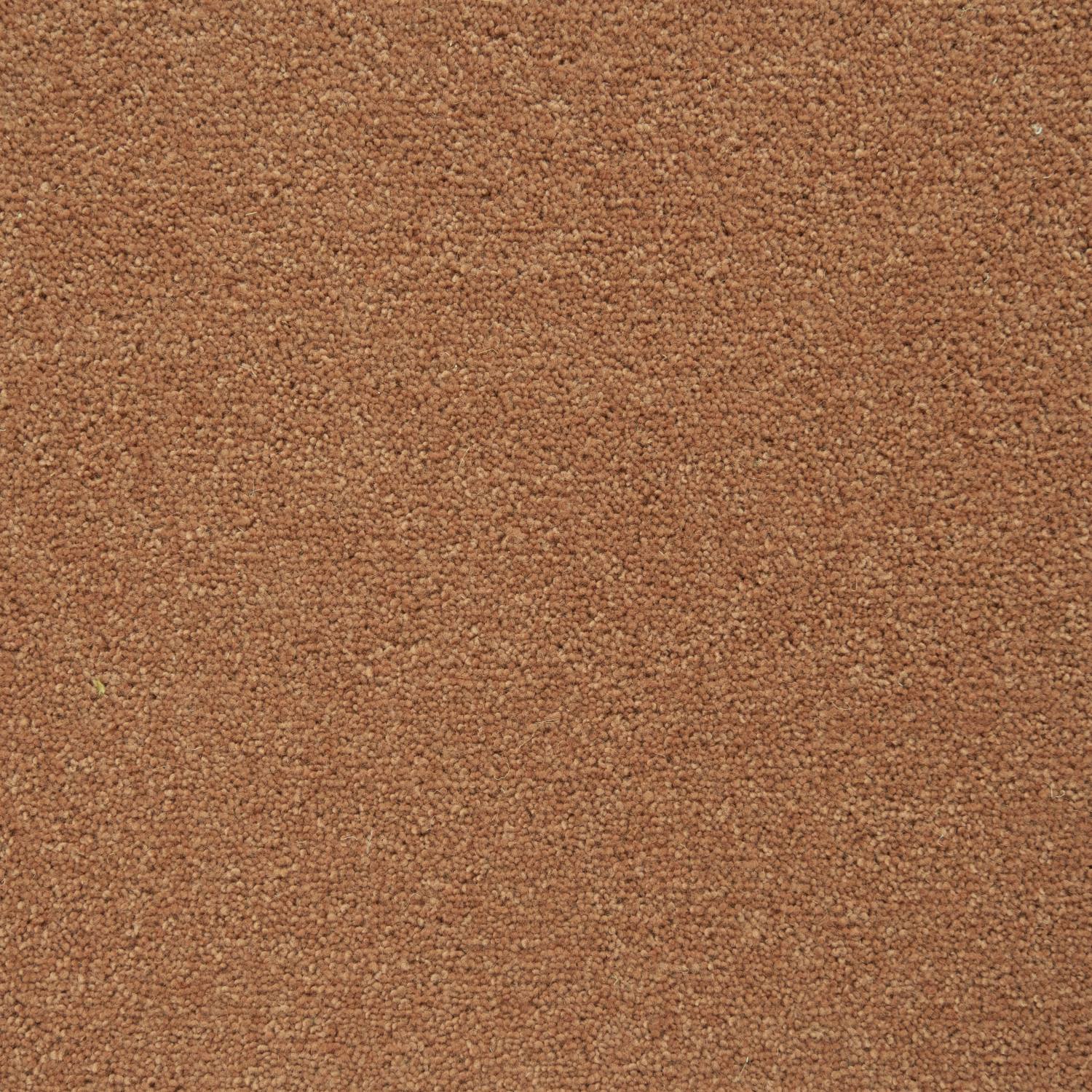 Wentworth 40 Twist Wool Carpet - Calcot