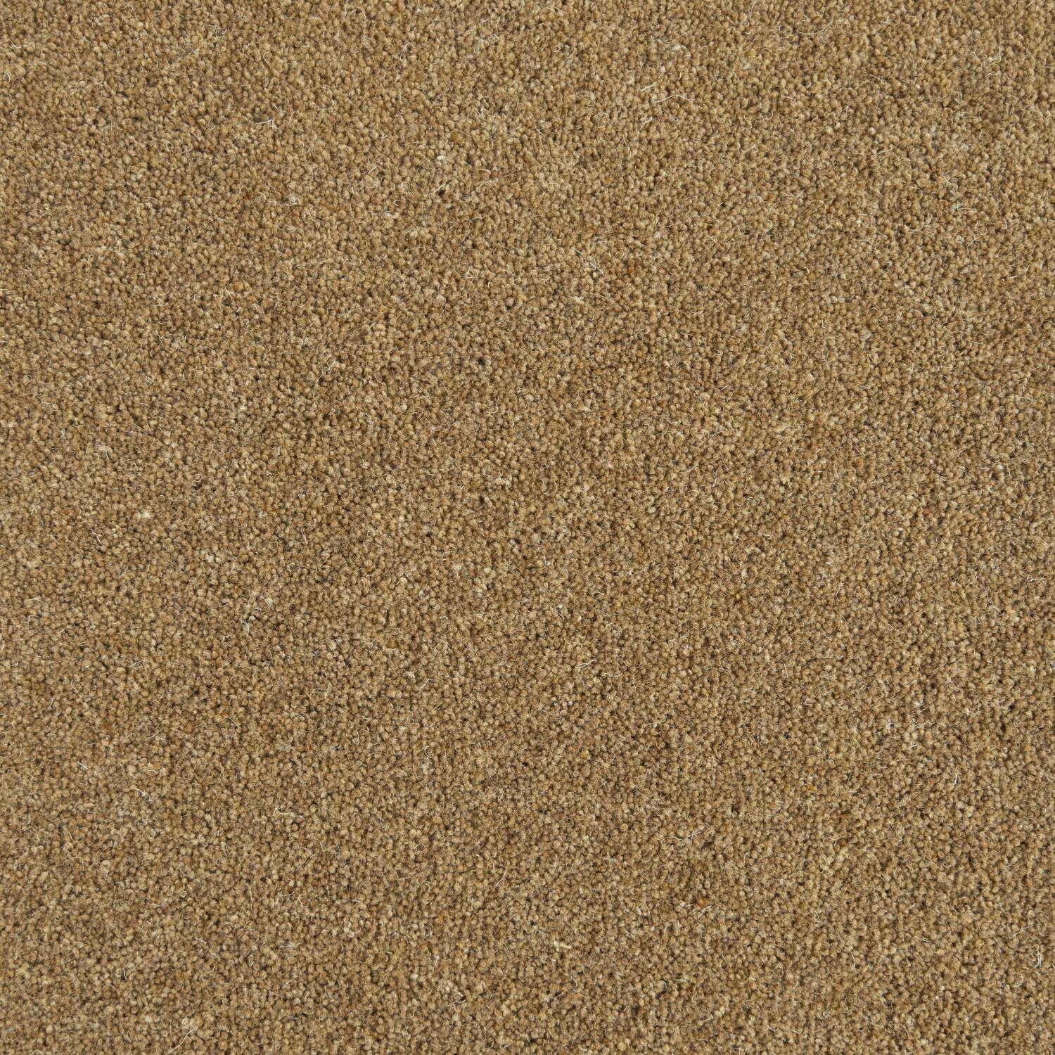 Wentworth 40 Twist Wool Carpet - Rushmere Wentworth 40 Twist Wool Carpet - Rushmere