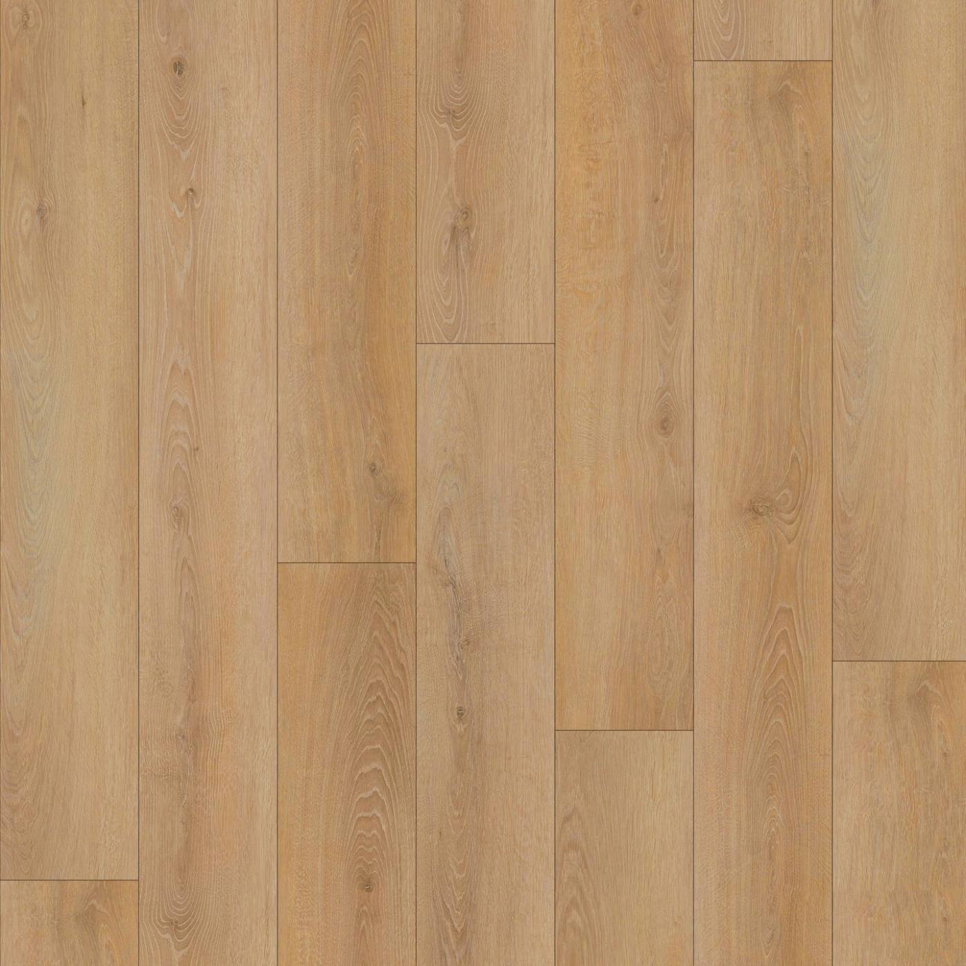 Clear Oak Wood LVT
