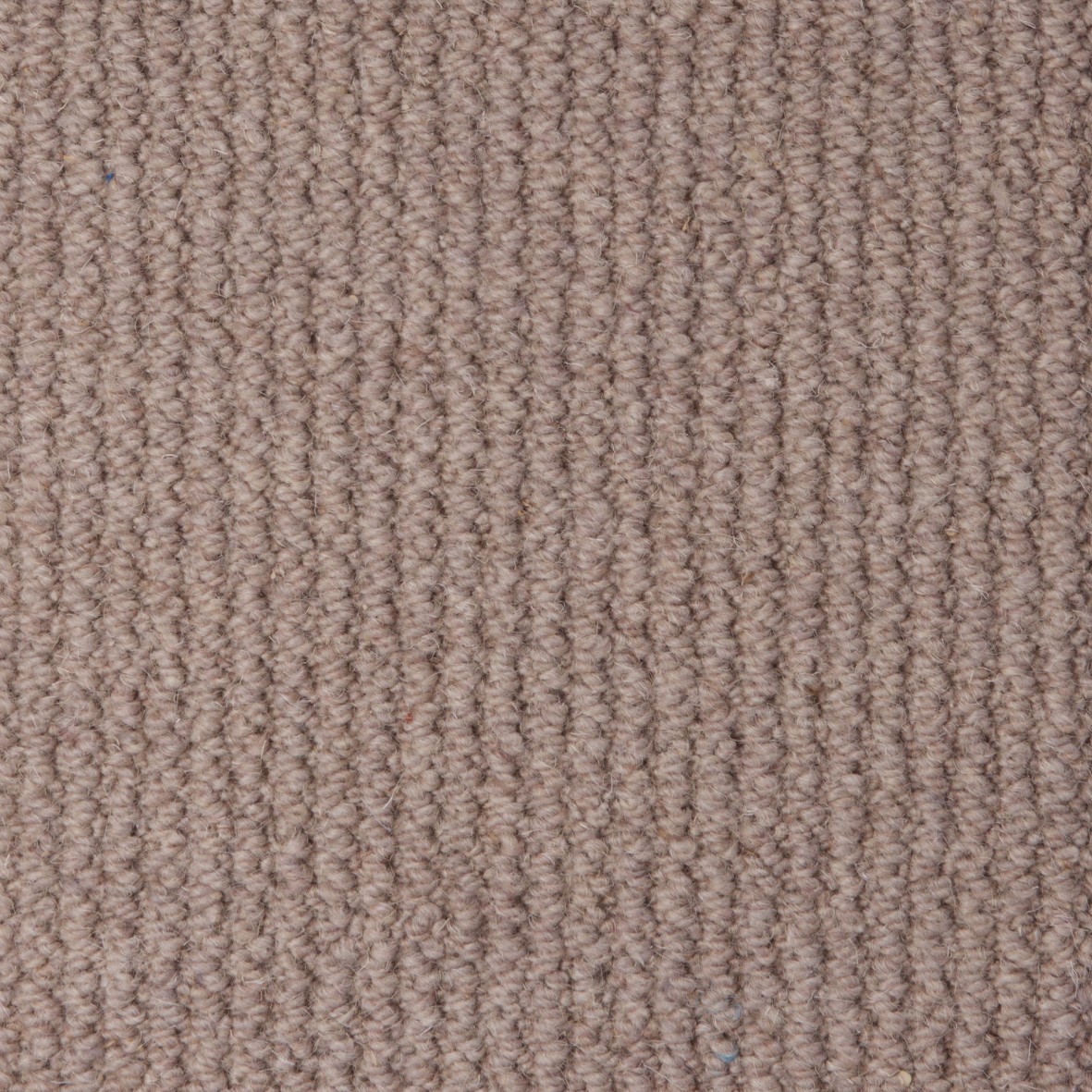 Rolling Hills Pure Wool Loop Carpet - Chaff Rolling Hills Pure Wool Loop Carpet - Chaff