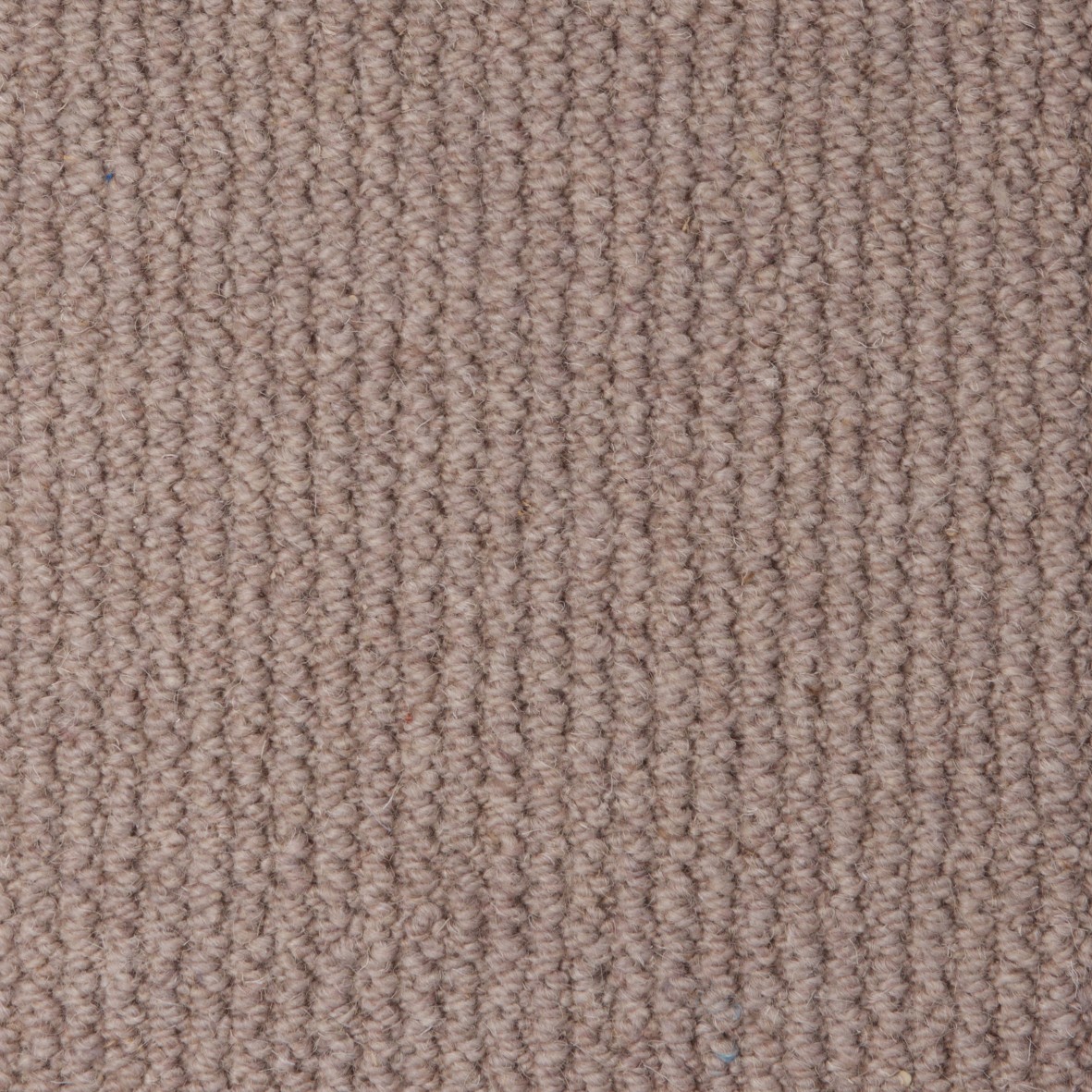 Rolling Hills Pure Wool Loop Carpet - Chaff