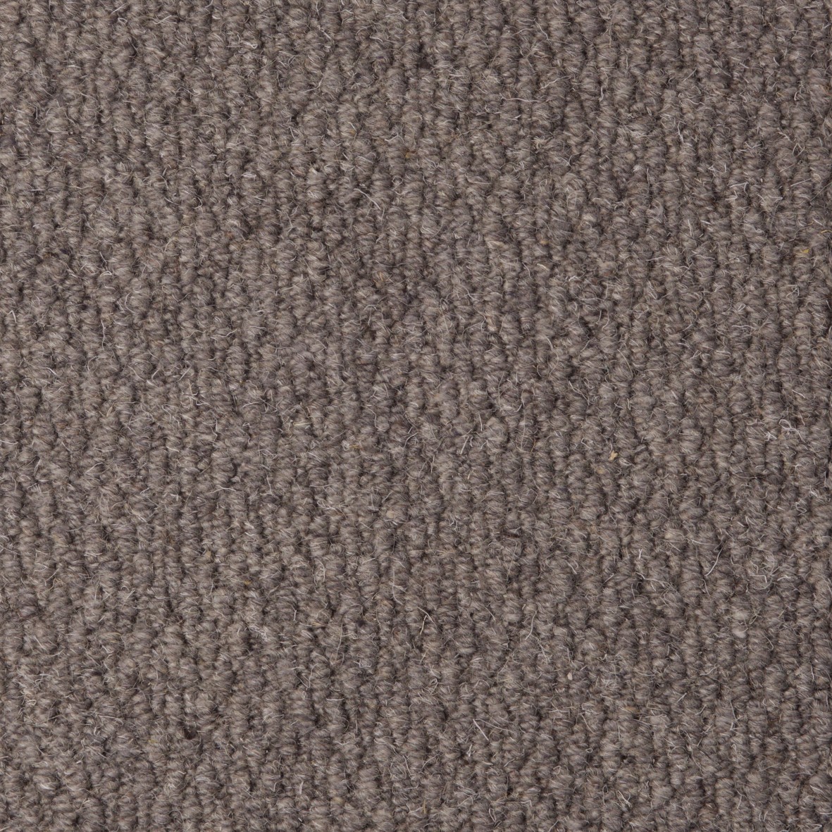 Rolling Hills Pure Wool Loop Carpet - Chapel Rolling Hills Pure Wool Loop Carpet - Chapel