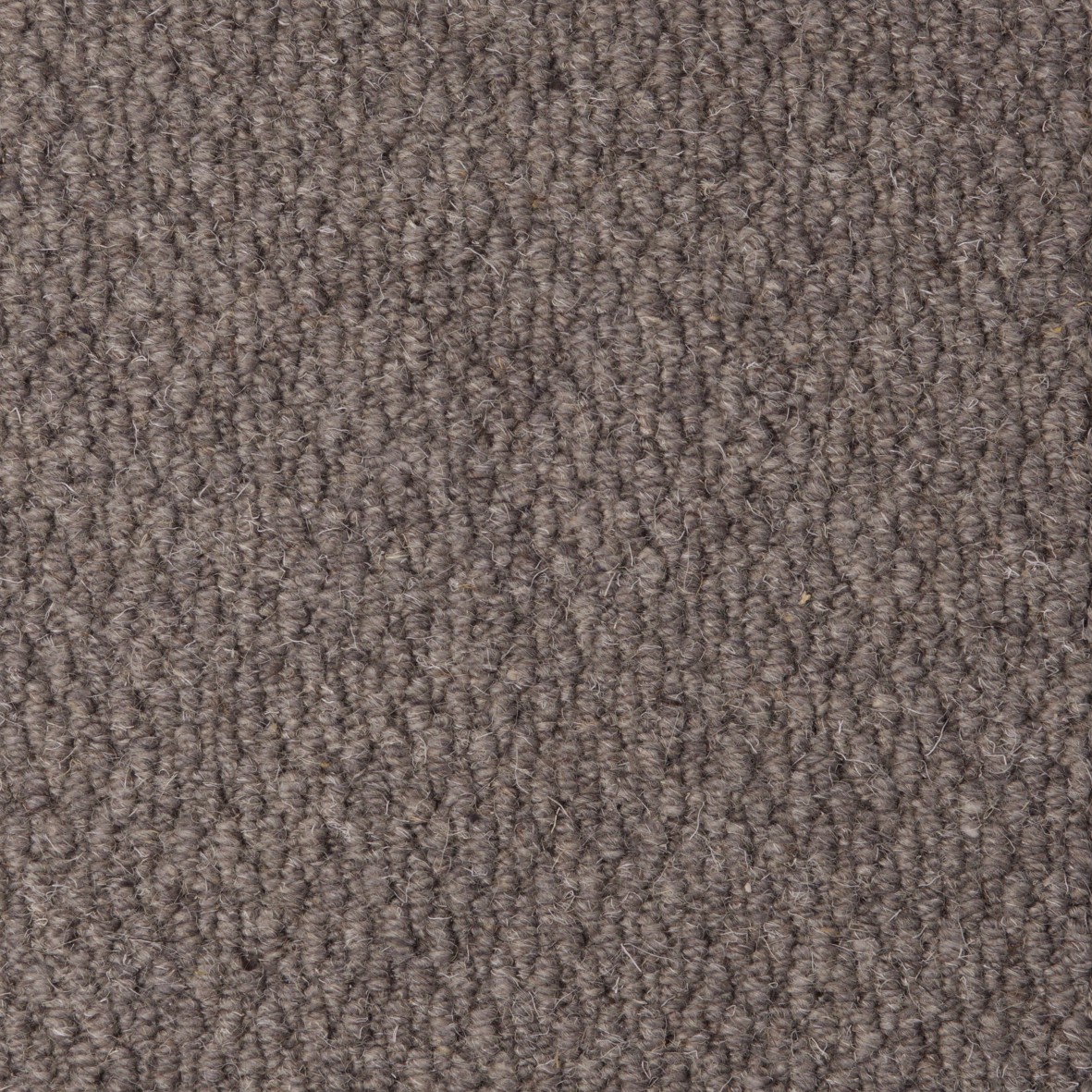 Rolling Hills Pure Wool Loop Carpet - Chapel