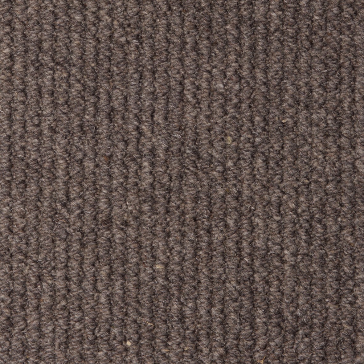 Rolling Hills Pure Wool Loop Carpet - Egret