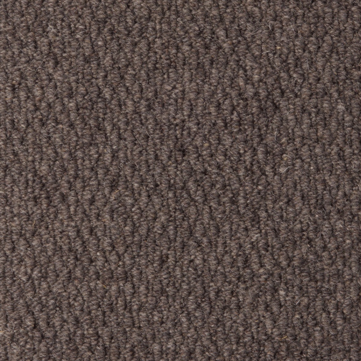 Rolling Hills Pure Wool Loop Carpet - Ferrum