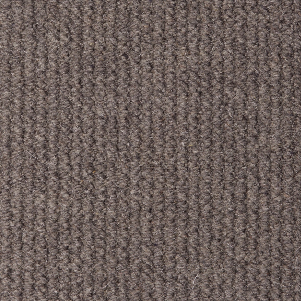 Rolling Hills Pure Wool Loop Carpet - Gadwall Rolling Hills Pure Wool Loop Carpet - Gadwall