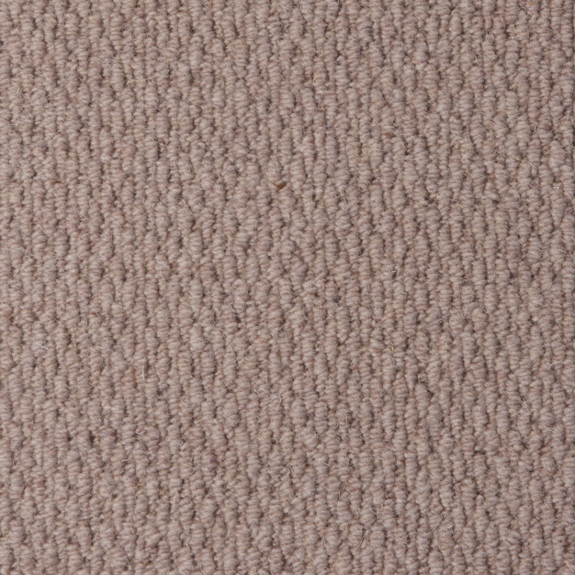 Rolling Hills Pure Wool Loop Carpet - Grullo