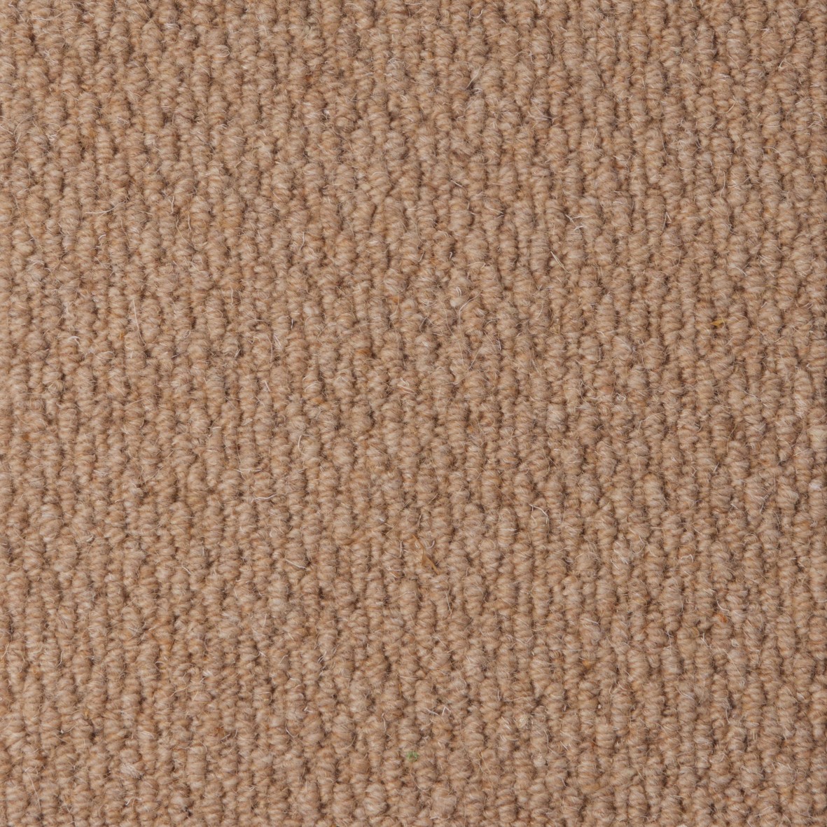 Rolling Hills Pure Wool Loop Carpet - Oasis