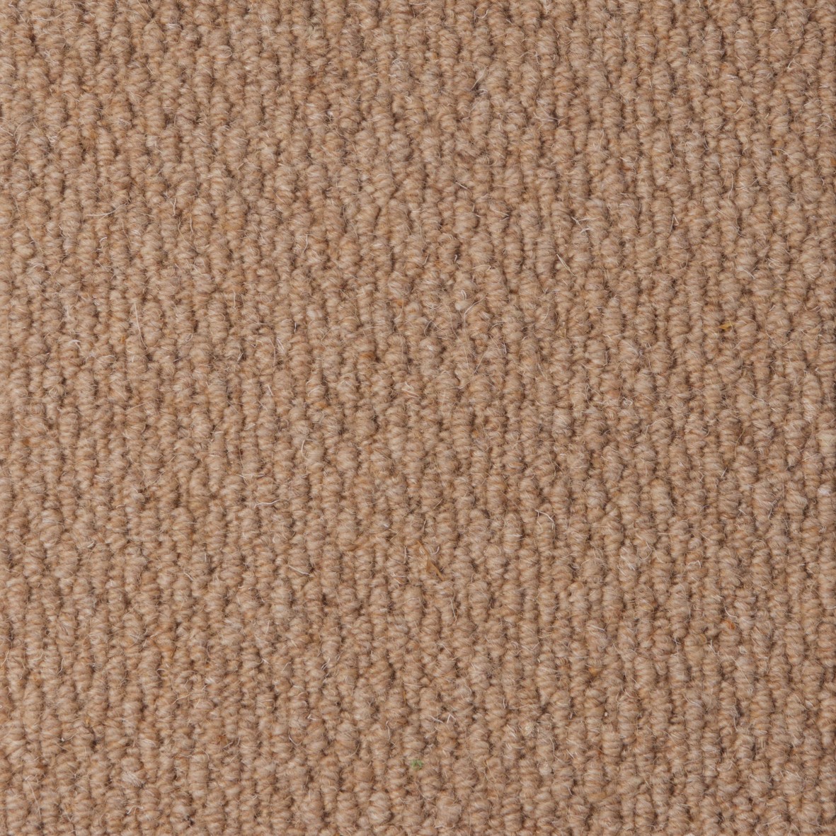 Rolling Hills Pure Wool Loop Carpet - Oasis Rolling Hills Pure Wool Loop Carpet - Oasis