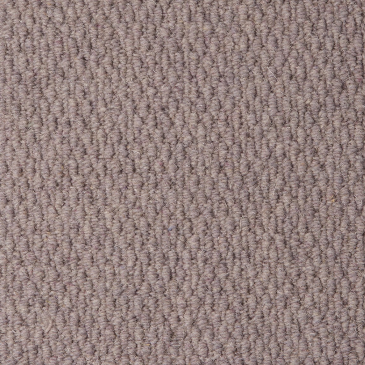 Rolling Hills Pure Wool Loop Carpet - Spire