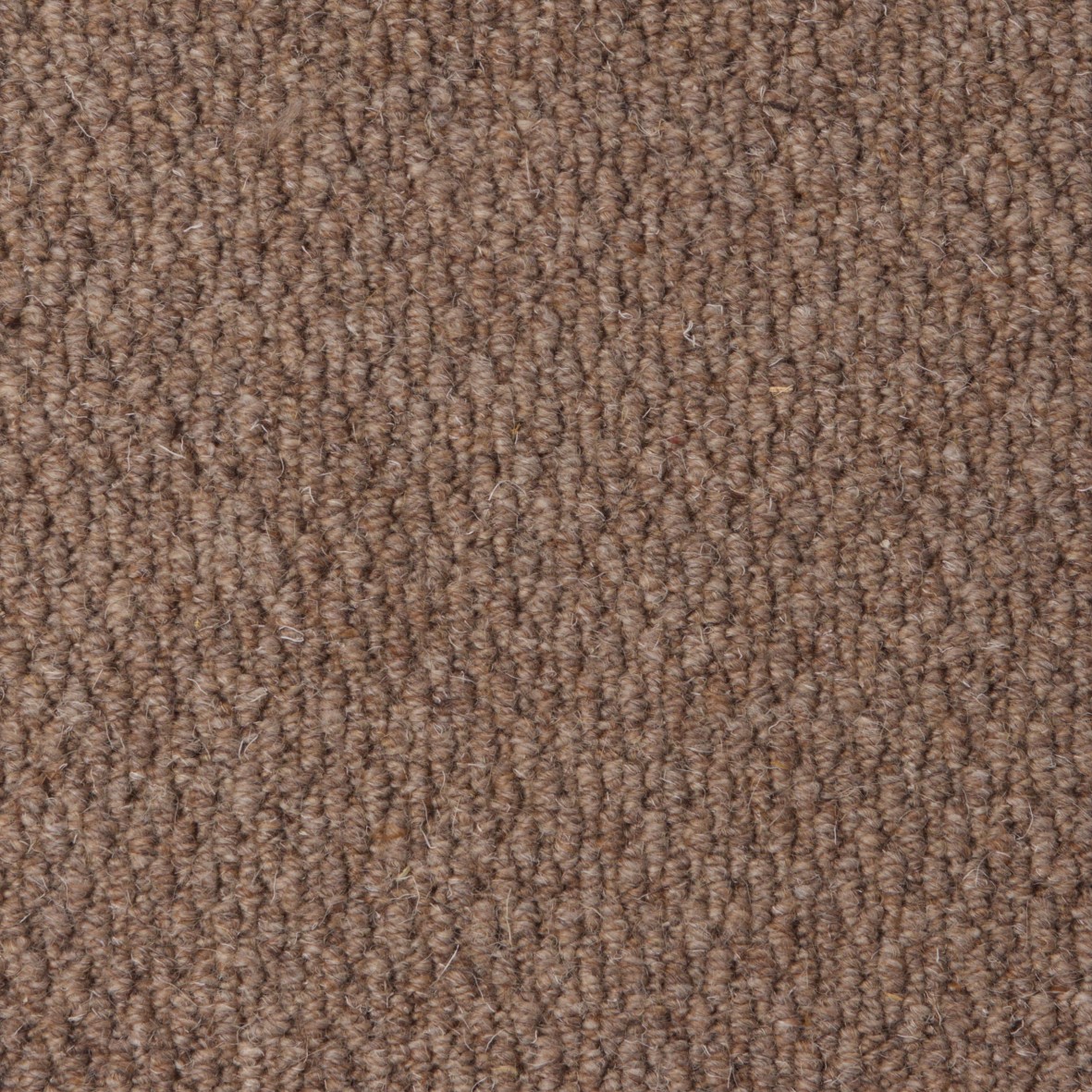 Rolling Hills Pure Wool Loop Carpet - Spruce