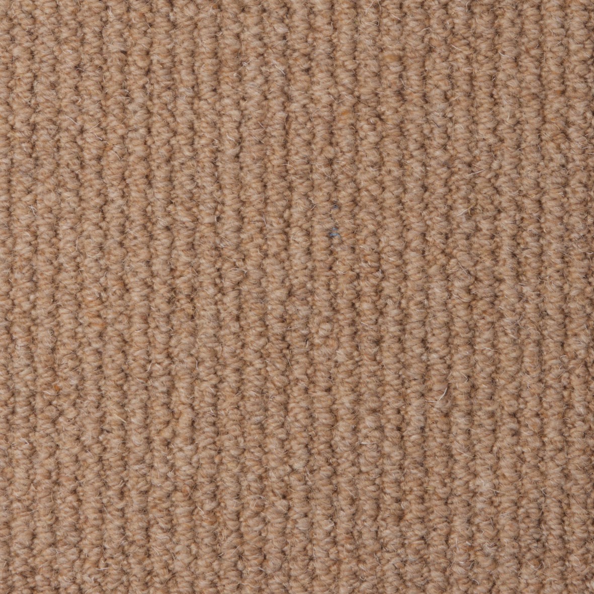Rolling Hills Pure Wool Loop Carpet - Vintage Cream