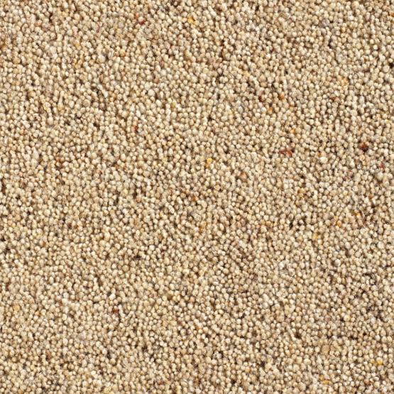 Catania 45oz Wool Twist Carpet - Custard Catania 45oz Wool Twist Carpet - Custard
