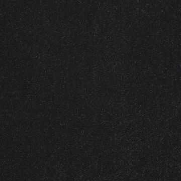 Stainfree Captivation Super Soft Twist Carpet-01 Black Raven-4m