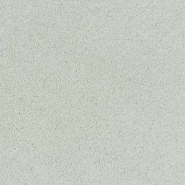 Invincible Glamour Carpet-02 Elegance/Silk-4m