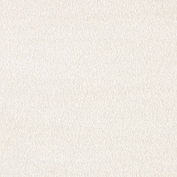 iSense Serenity Saxony Carpet-03 Almond White-4m